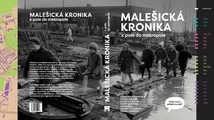 Malesicka-KRONIKA_obalka_ANICKA_page-0001.jpg