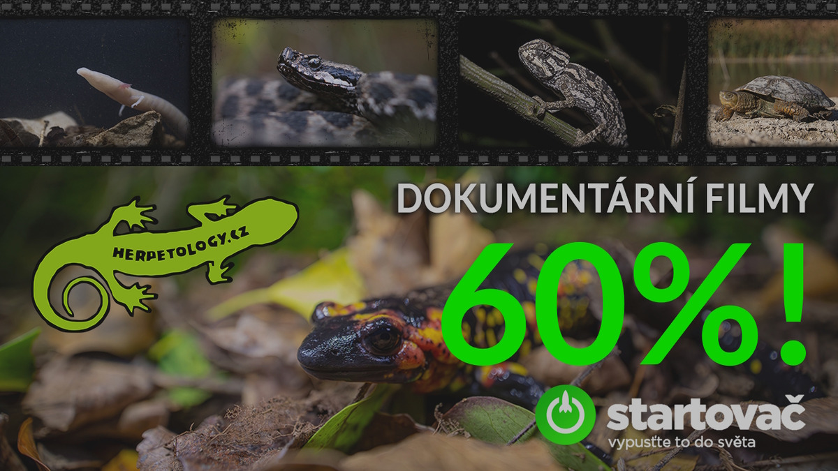 60%! Díky vám jsme zase o kus blíže k dronu!