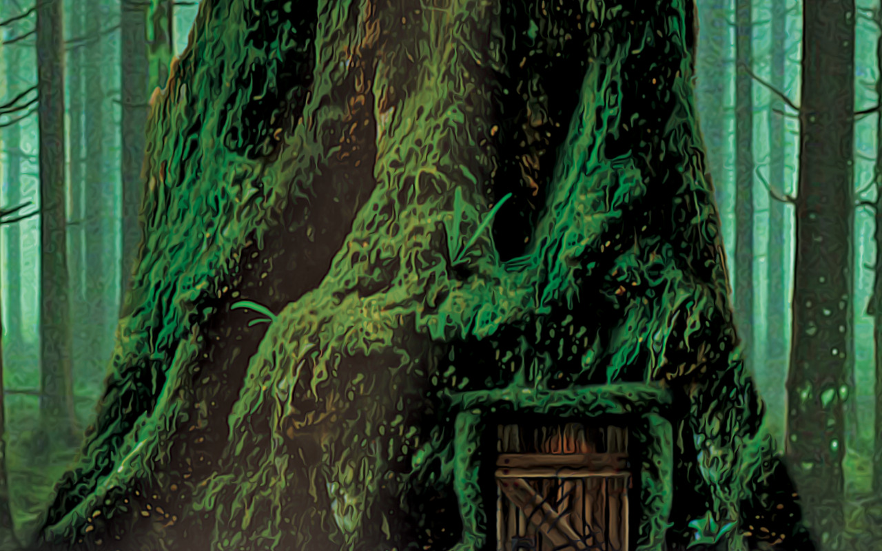 Přední strana bez textu.png