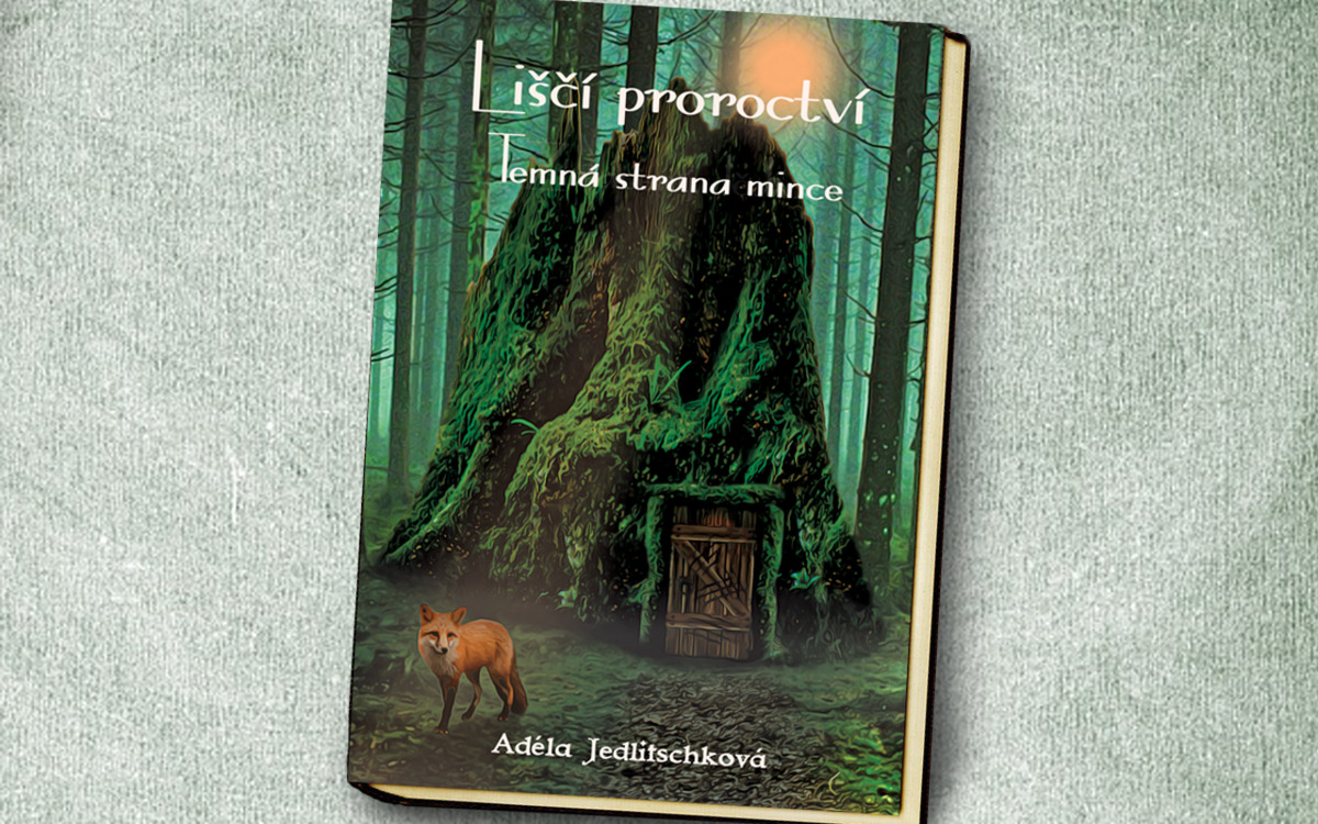 Příspěvek na insta.png